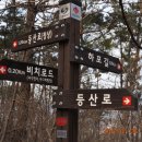 하포길 네이버블로그