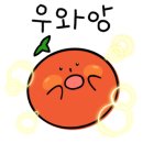 QNA치과 네이버블로그