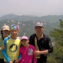 옛날에금잔디 이미지