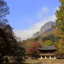 백양사 - 논산시 중앙로492번길 3-1 | 백양사