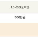 전주 보건소 출산 혜택 총정리 🌿조산 산모가 직접 다녀온 솔직 후기