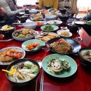단발냥 | 망고의 2019년 구정 일기 2탄!