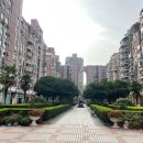 세일화원 이미지