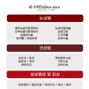 스타1 의원 이미지