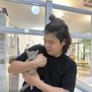 명품고양이카페 이미지