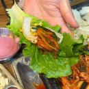 육찌삼