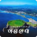 소망여행사