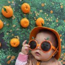 310 | D+310 후기 이유식 스케줄, 재료, 문화센터, 어린이집