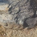 동계면사무소 이미지