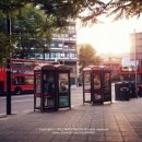 와와민박 이미지