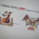 3D안면비대칭교정