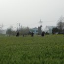 (주)보리에