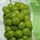 청산농장 이미지