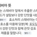 천율식품 네이버블로그