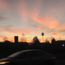 사람 그리고 새 이미지