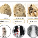 제주충신유치원 이미지