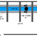 포링포링(Poring Poring)