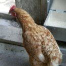 민우농장 이미지