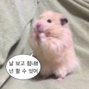 톡톡사랑니치과의원 이미지
