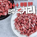 10월21일.투쁠한우(갈비살,등심,설깃살,한우오마카세,특수모듬,소불고기,국거리),흑돼지양념구이,한우우족사골,보성녹돈 이미지
