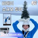 훗카이도 삿포로 비에이 소규모 투어 후기 3 | 켄과 메리의 나무 세븐스타 나무 크리스마스트리