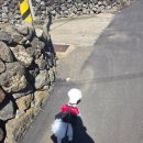 사계 돌담숲 이미지