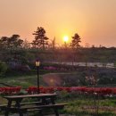 상이농장 이미지