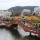 꽃과사람들 이미지