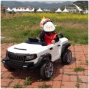 에덴카서비스 이미지