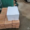 가학농장 이미지