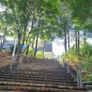 신성대림공인중개사사무소 | 신성동부동산 - 싱그러운 근린공원이 창밖으로 펼쳐지는 신성동 원룸입니다.