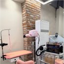 Coco Grooming 네이버블로그