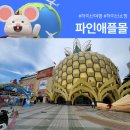 하이난여행 파인애플몰 미니소 마트 쇼핑