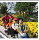 오천한약 이미지