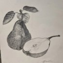 일상을 그리다 어반스케치 | #부산 부경대평생교육원 #일상을그리다 #연필스케치 #어반스케치 #봄학기 #접수시작