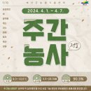 내검농장 | 🌳주간농사정보🌳 2024. 4. 1. ~ 4. 7.