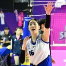 독스 윙스 네이버블로그