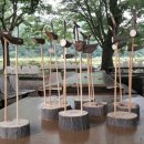 양곡리체험마을 이미지