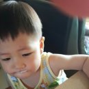 빛고을농장 이미지