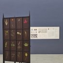 서울 종로 전시회 가볼만한곳 국제갤러리 최재은 자연국가 Nature Rules
