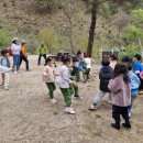 비봉초등학교 병설유치원 이미지