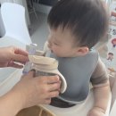 오즈바이오 | 유유제약 비오즌디 마스터바이오틱스 성분부터 꼼꼼히 따져본 솔직한 아기유산균 정착 후기