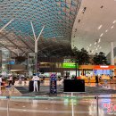 411 | 인천 - 뉴질랜드 대한항공 KE411 후기(뉴질랜드 세관후기)