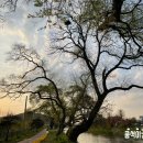 반곡보건진료소 이미지