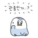 파이널유도멀티짐 이미지