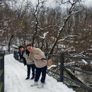 안산자락길 | 안산자락길 벙개 후기