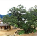 번지없는주막 이미지