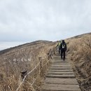 (주)디에스엠 뉴트리션 코리아 | 마이프로틴 쉐이크 단백질바 후기 먹는법