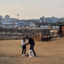 50k 반려견 유치원 | 수원애견산책교육 사회화훈련 후기 '50K'애견학교 비용,가격
