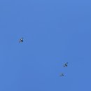 힐링나라 이미지